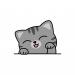 Tabby cat Avatar