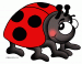 Ladybug Avatar