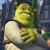 -Shrek Avatar