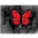 Red butterfly Avatar