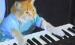 Keyboard Cat Avatar