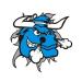 BlueBull99 Avatar