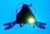 manaus Avatar