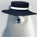 Arctic fox Avatar