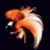 garudaban Avatar